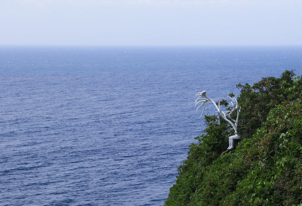 Photo:Nohagi Naka