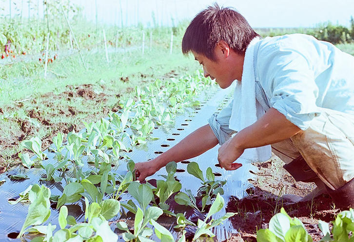 海を知っているから無農薬の野菜を作る